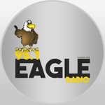 Eagle 95.1 FM – WUPN
