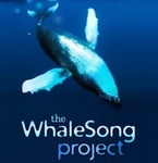 WhaleSong Project