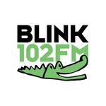 Rádio Blink 102 FM